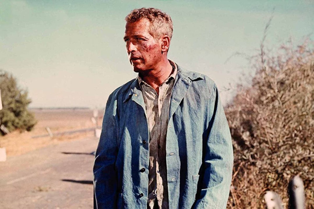 Cool Hand Luke