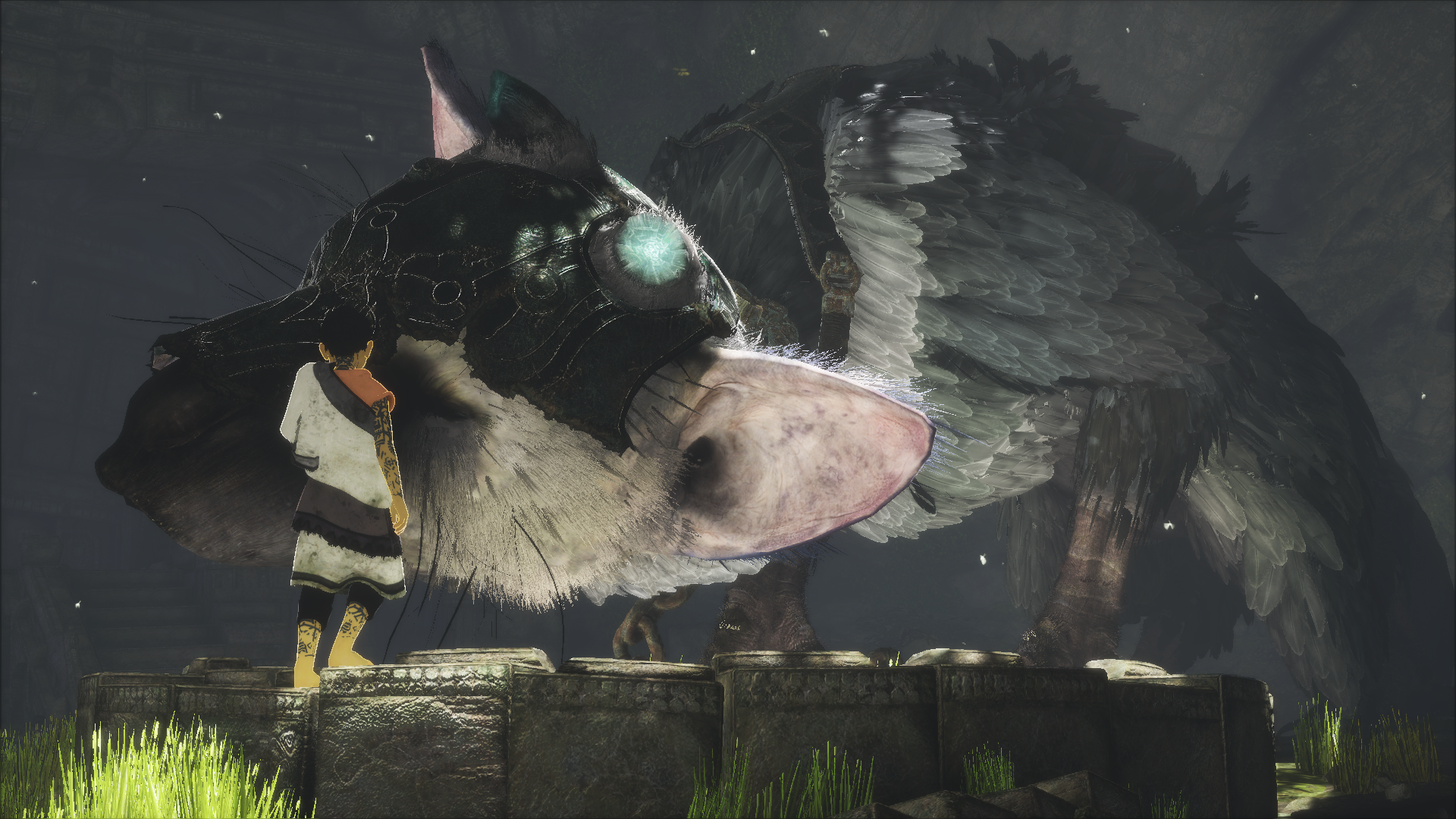 The Last Guardian Review