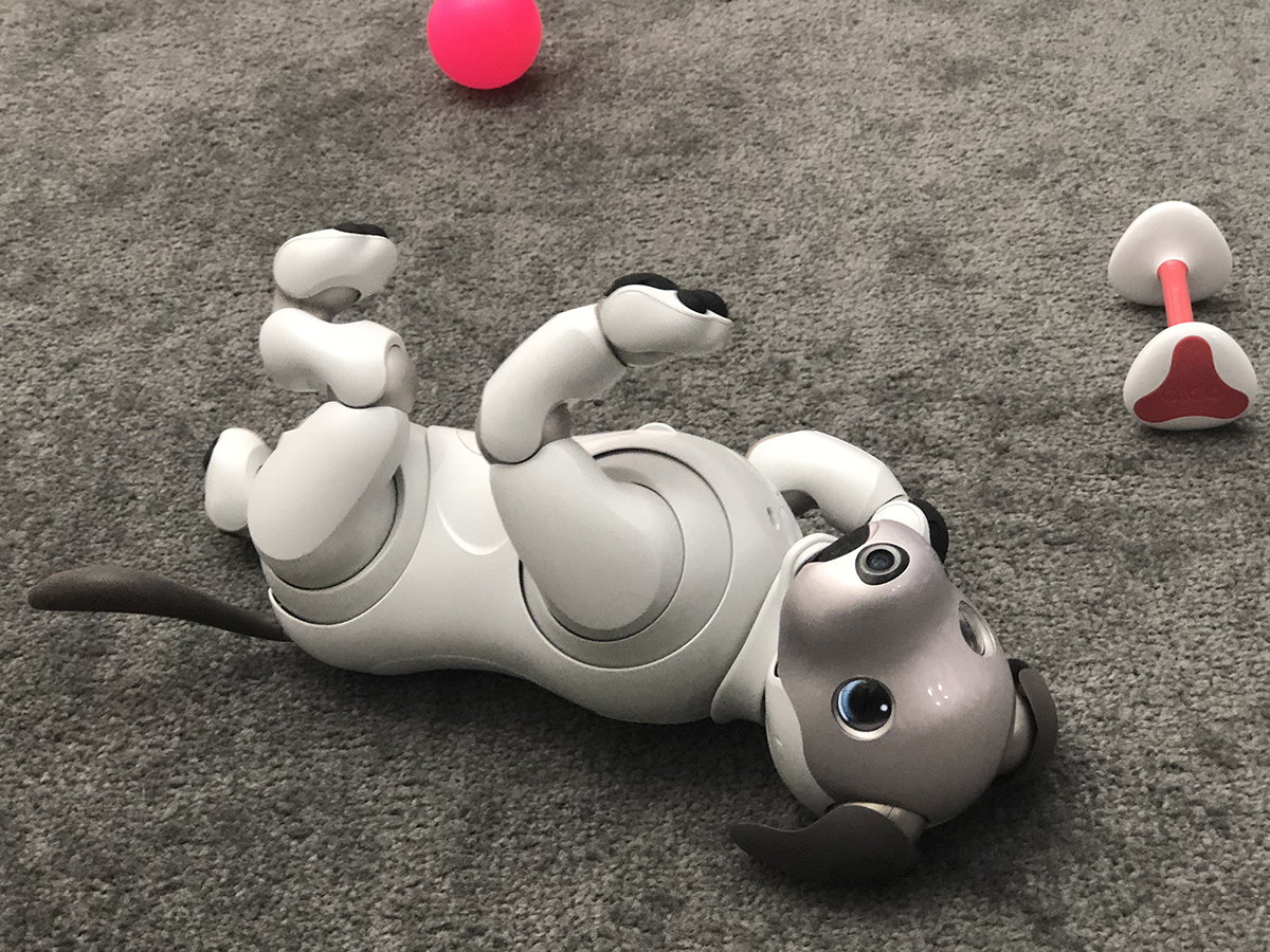Sony Aibo ERS-1000 hands-on review | Stuff