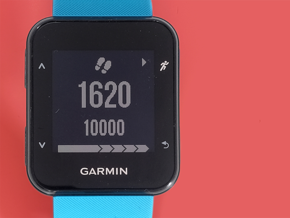 garmin 30