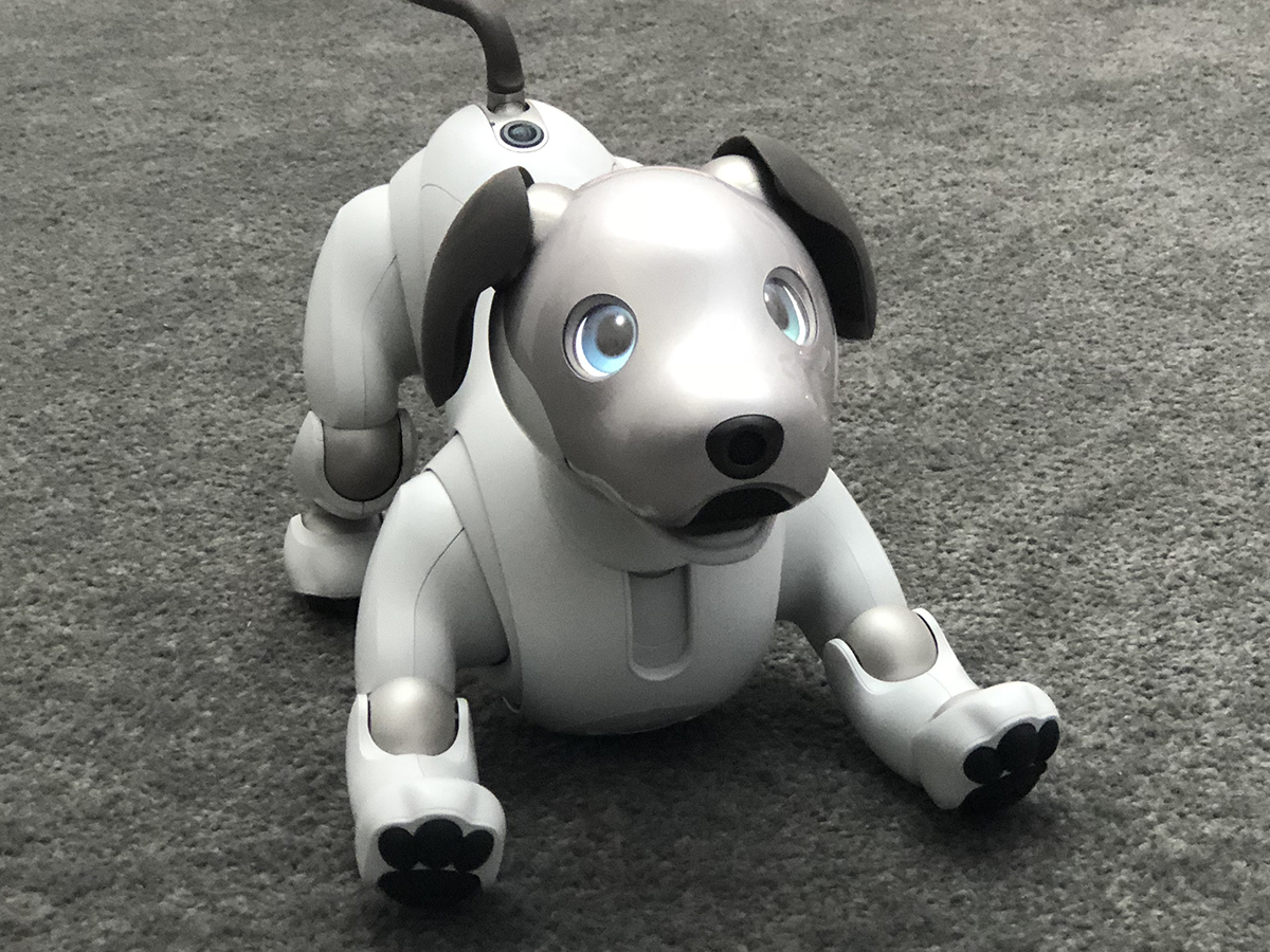 Sony Aibo ERS-1000 hands-on review | Stuff