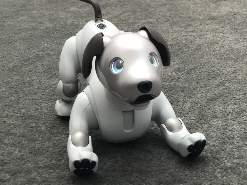Sony Aibo ERS-1000 hands-on review
