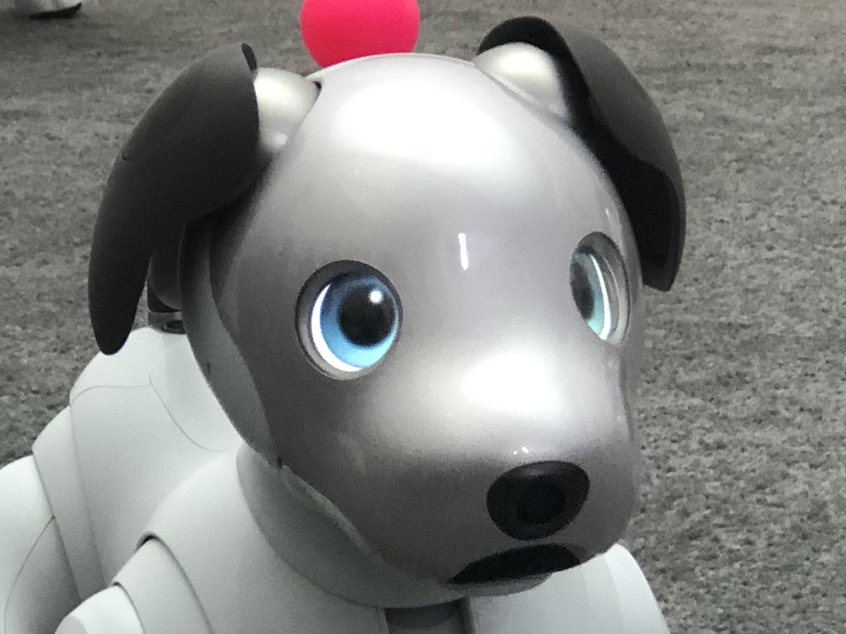 Sony Aibo ERS-1000 hands-on review | Stuff