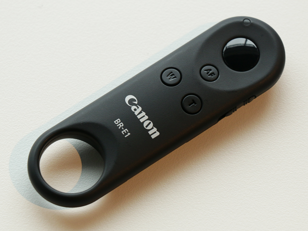 4) YOU CAN BUY IT A FANCY REMOTE