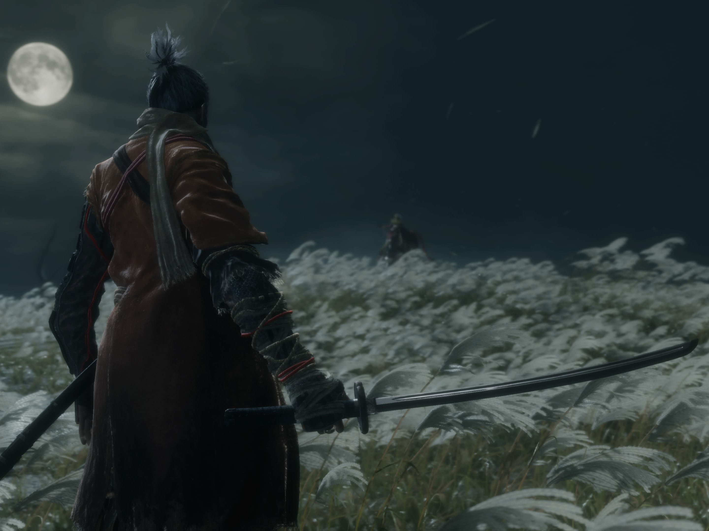 Sekiro: Shadows Die Twice – verdict