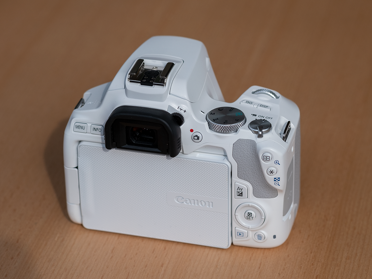 Canon EOS 250D review