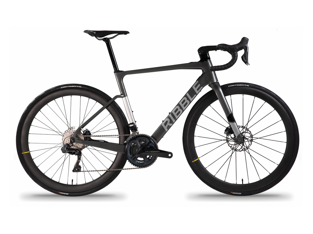 Ribble Endurance SL e Pro (from £4999)