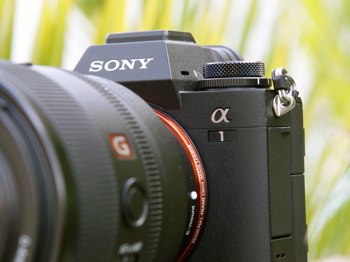 Sony A1 verdict