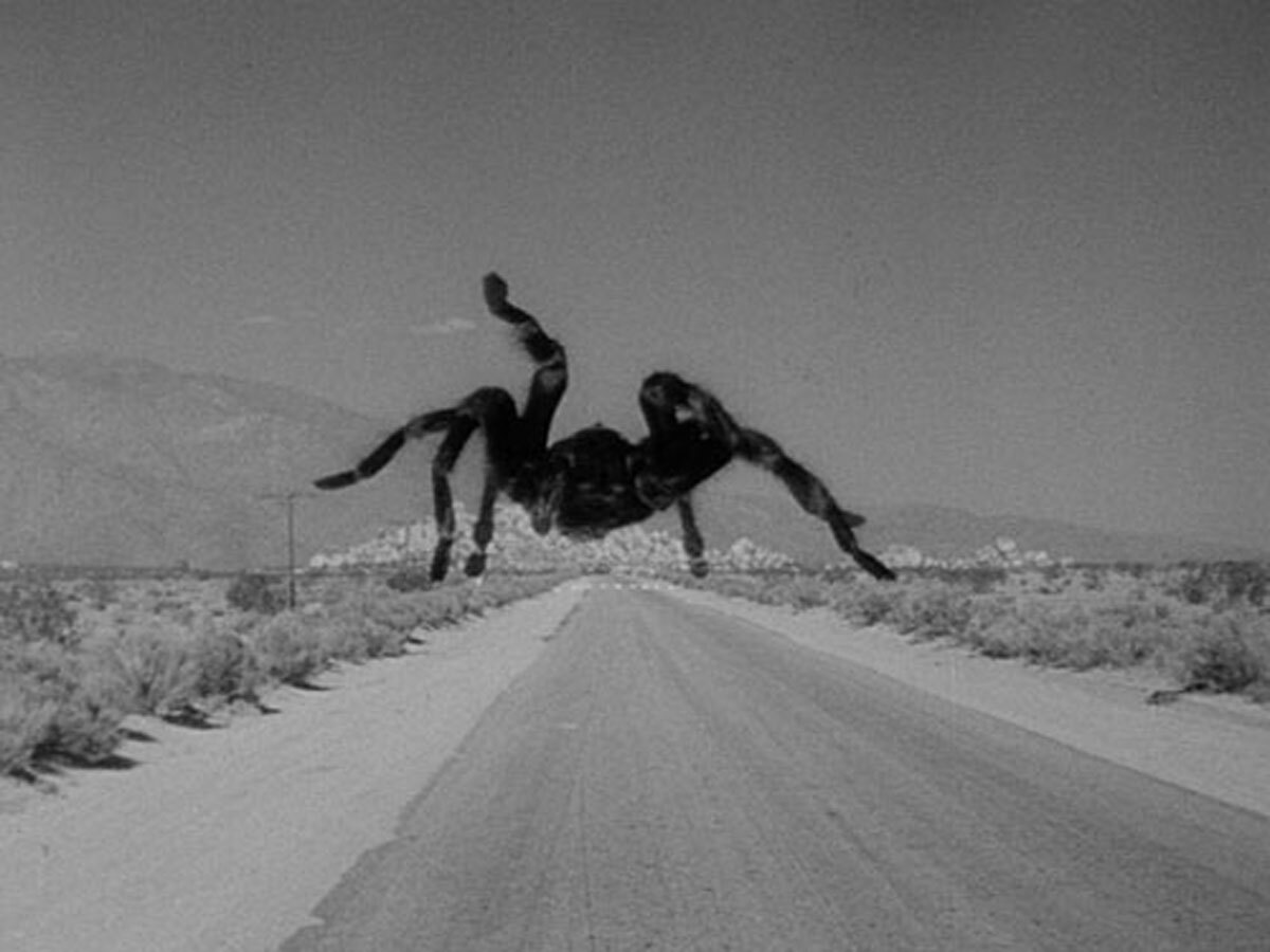 Tarantula (1955)