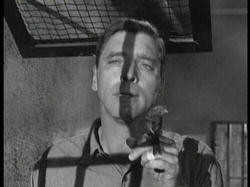 Birdman of Alcatraz (1962)