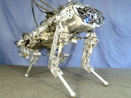 25 best real robots