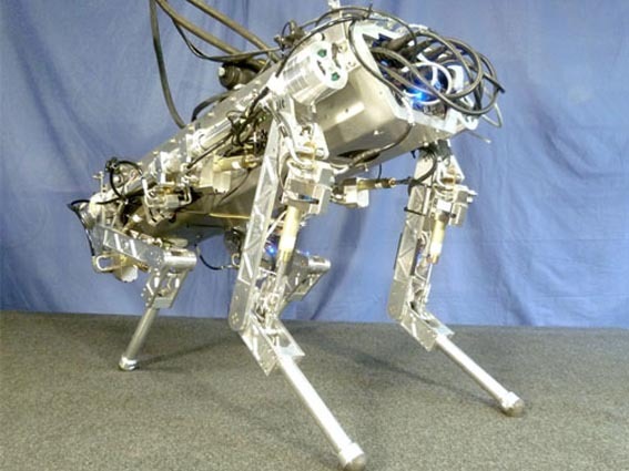 cool real robots