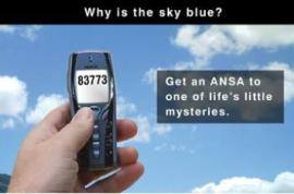 Q&A text services battle it out