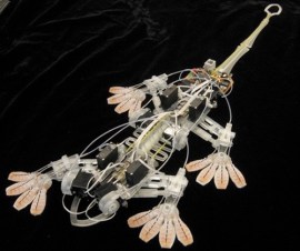 Next Big Thing – animal robot rescue