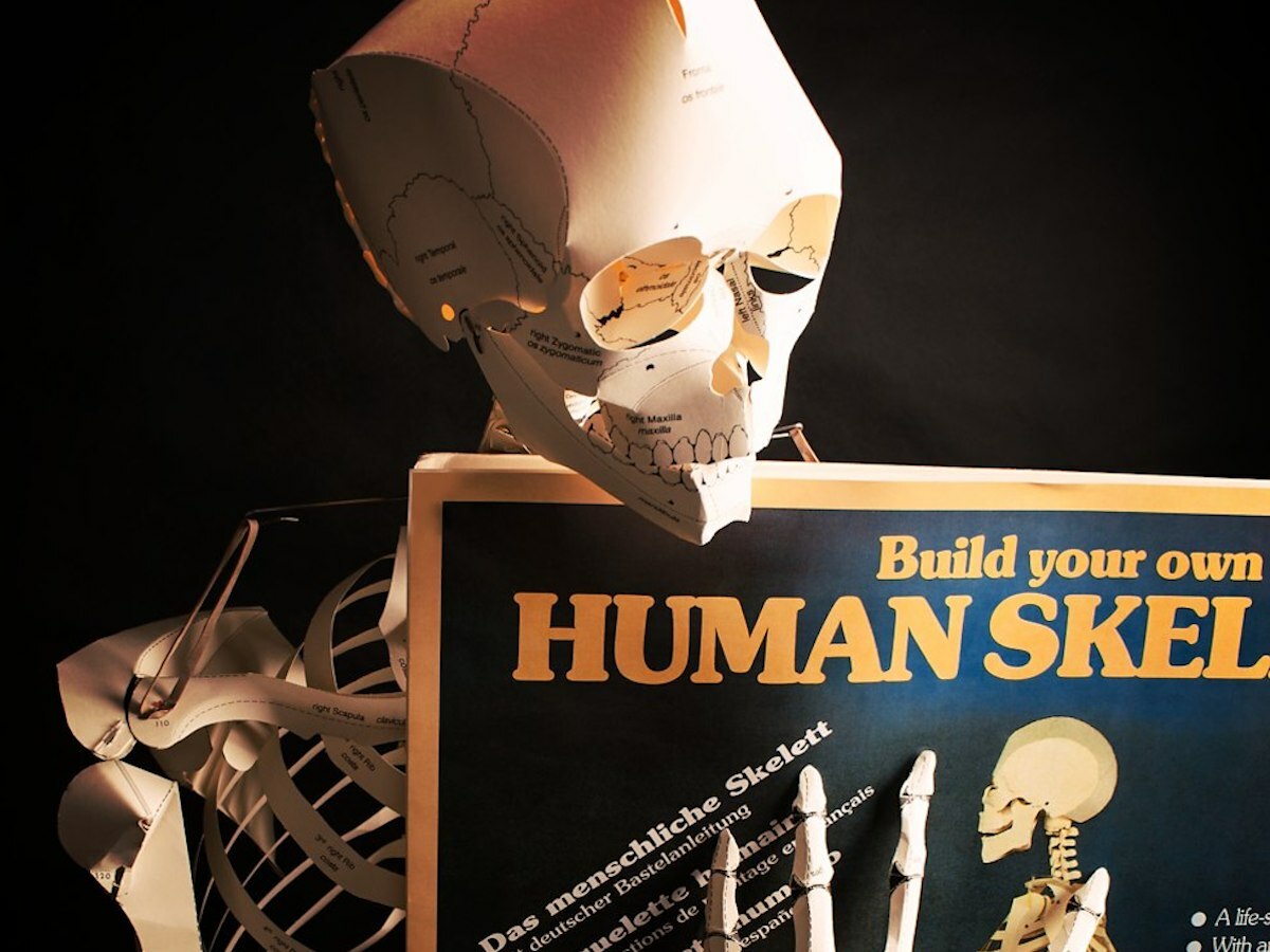 Build your own life-size human skeleton