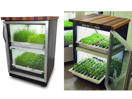Let the Urban Cultivator grow your herbs for you