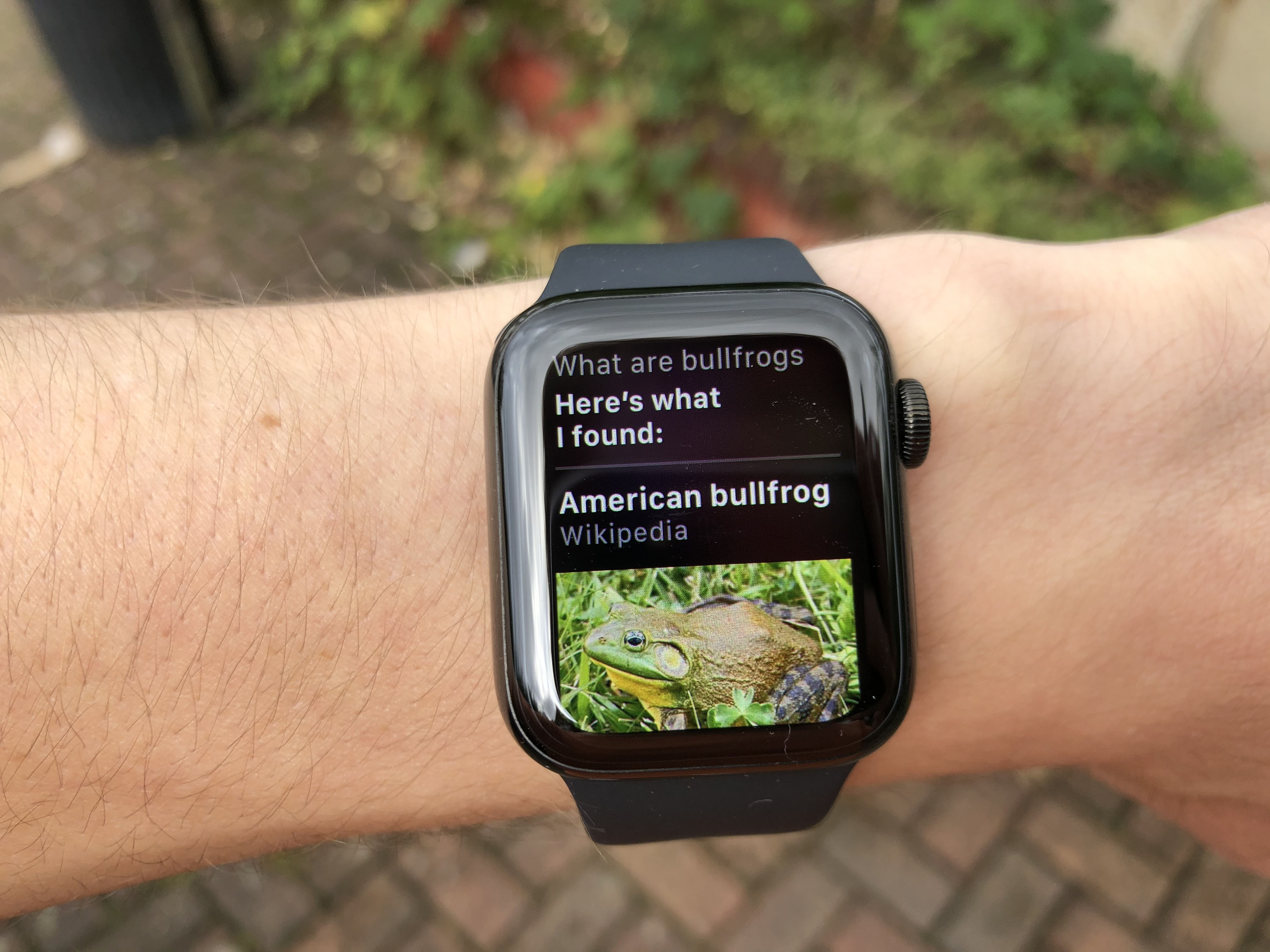 Apple Watch - Wikipedia