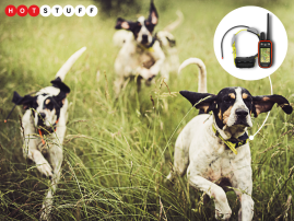 Even good dogs get lost – but Garmin’s Atemos GPS tracker can’t