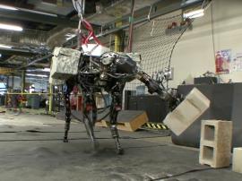Robots aren’t out to get us — they’re just made that way
