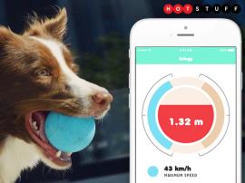 Bringy gives your pooch a futuristic take on fetch