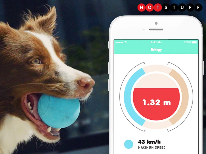 Bringy gives your pooch a futuristic take on fetch