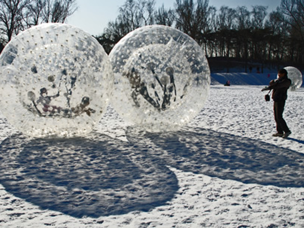 2.1M Budget Traditional Zorb (£600)