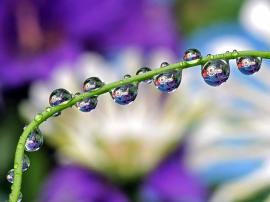 Scientists have found a way to charge your phone using dew