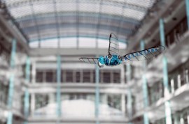 The Festo BionicOpter is the pet robot dragonfly you’ve been waiting for