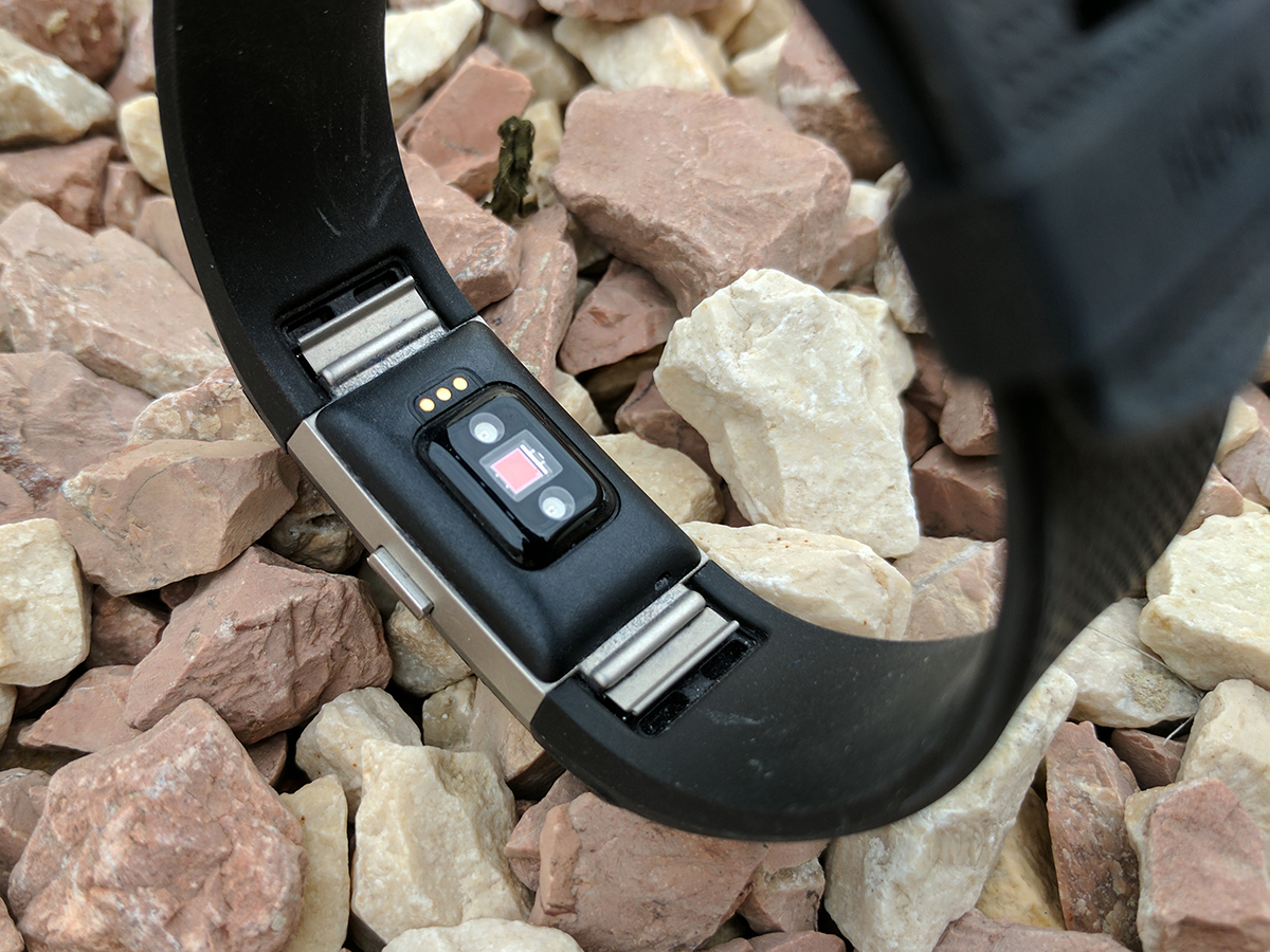 Fitbit charge 2 back cheap