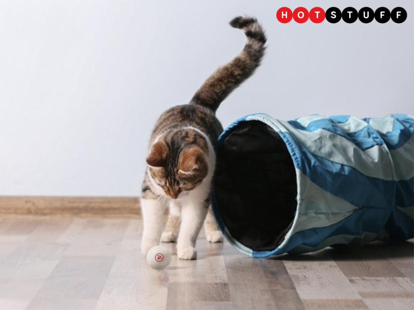 The GomiBall will keep your pets entertained even when you’re not at home