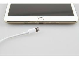 iPad Mini 2 pics show Touch ID scanner and gold finish