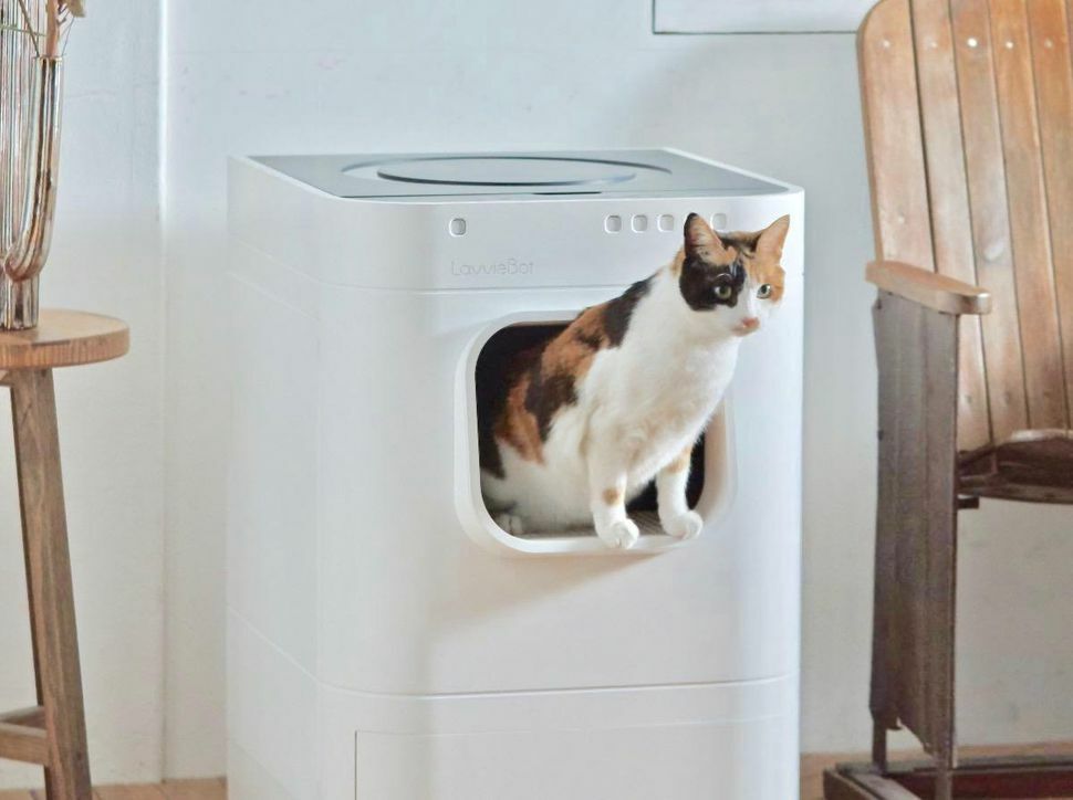 Purrsong LavvieBot smart litter box