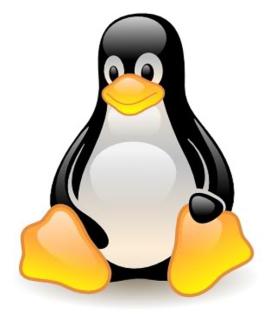 What Linux did for us