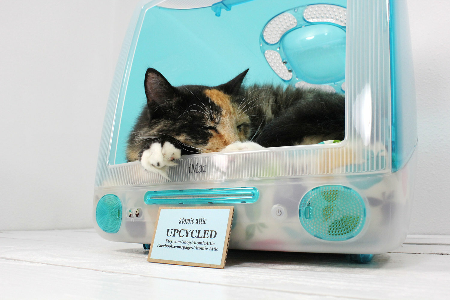 6) Computer monitor Cat Bed