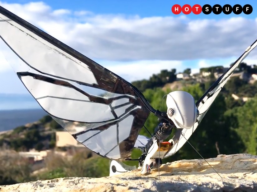 MetaFly is a flying robot bug that can flit, glide, and even crash with style