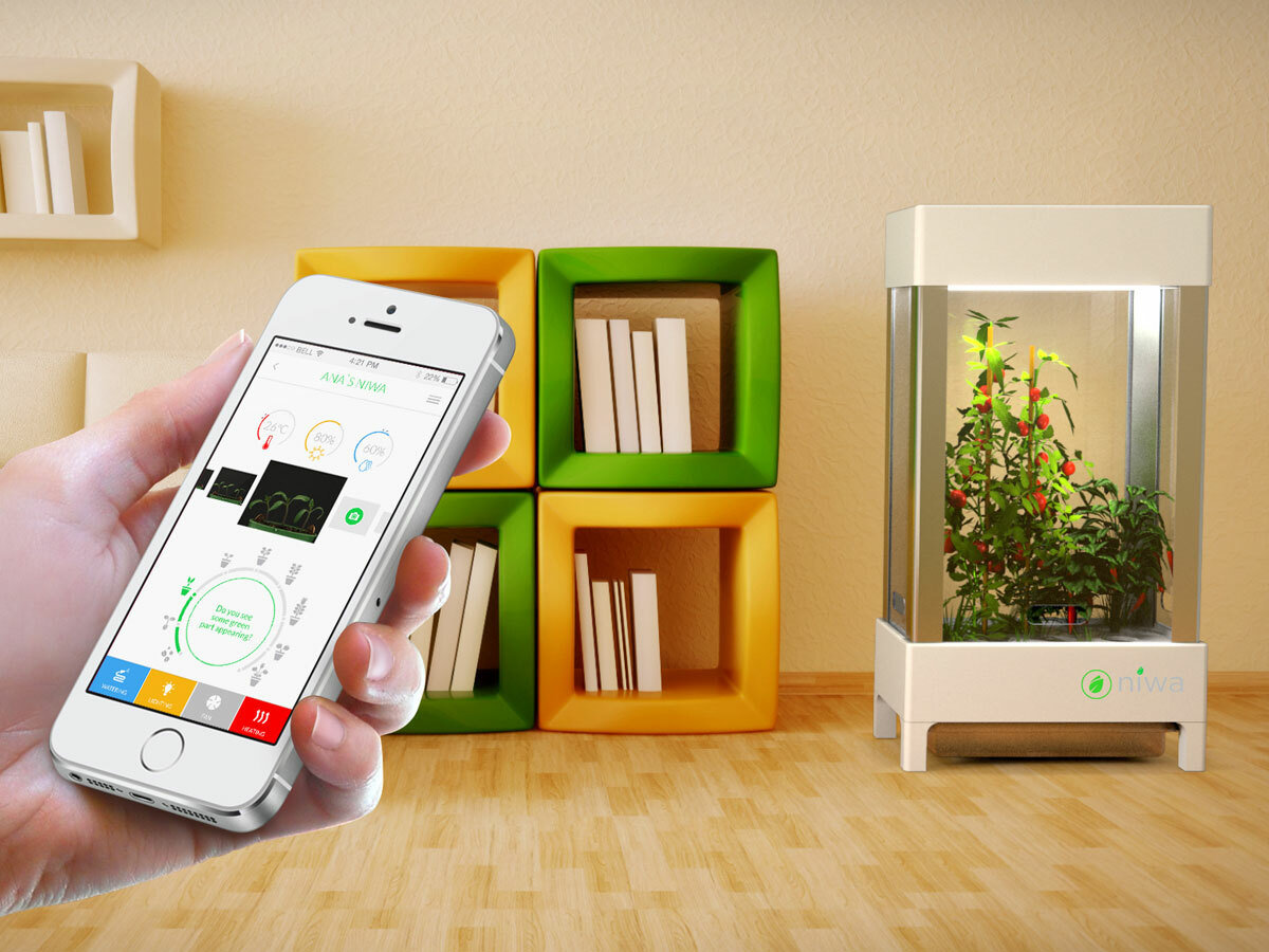 Niwa helps you cultivate veggies at home – using your smartphone
