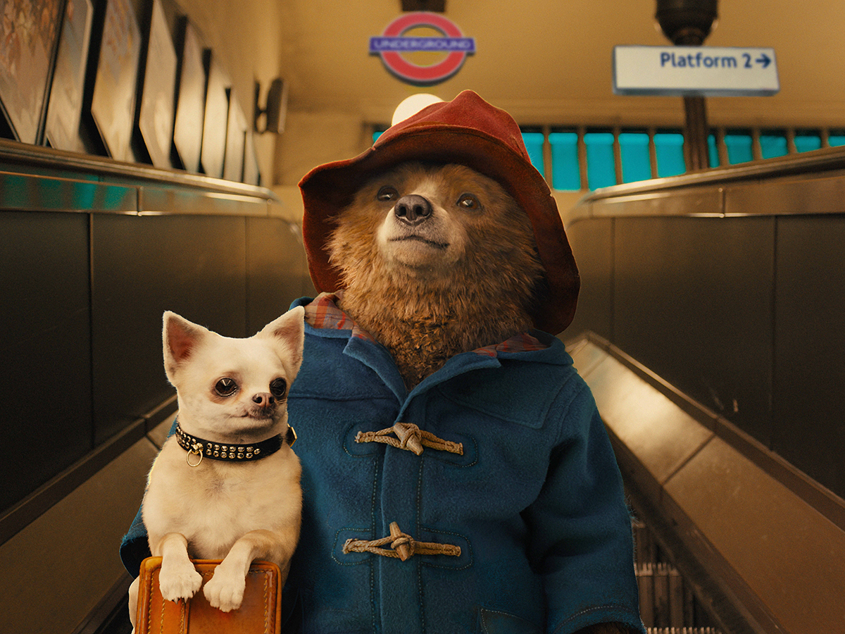 BLU-RAY TO BUY: PADDINGTON