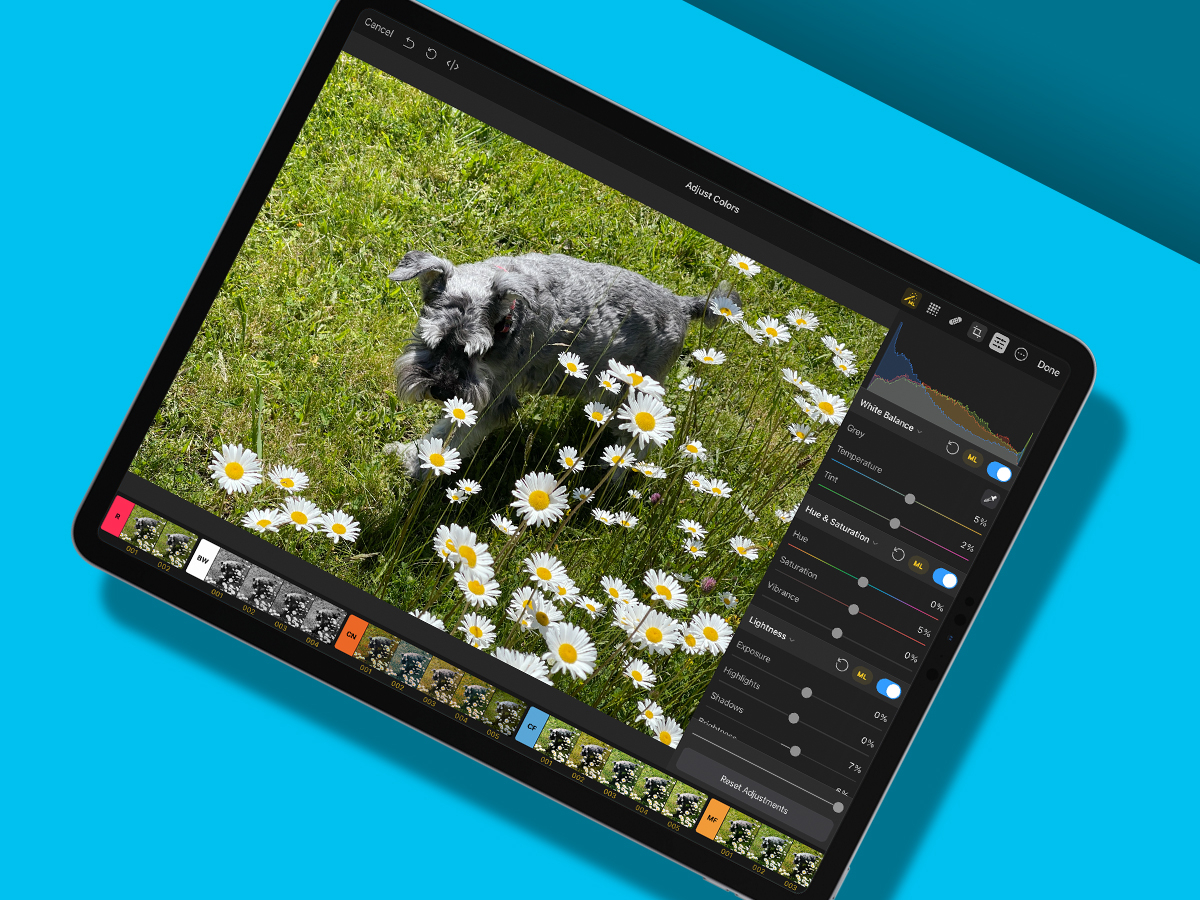 Pixelmator Photo: Best iPad photo quick-fix app