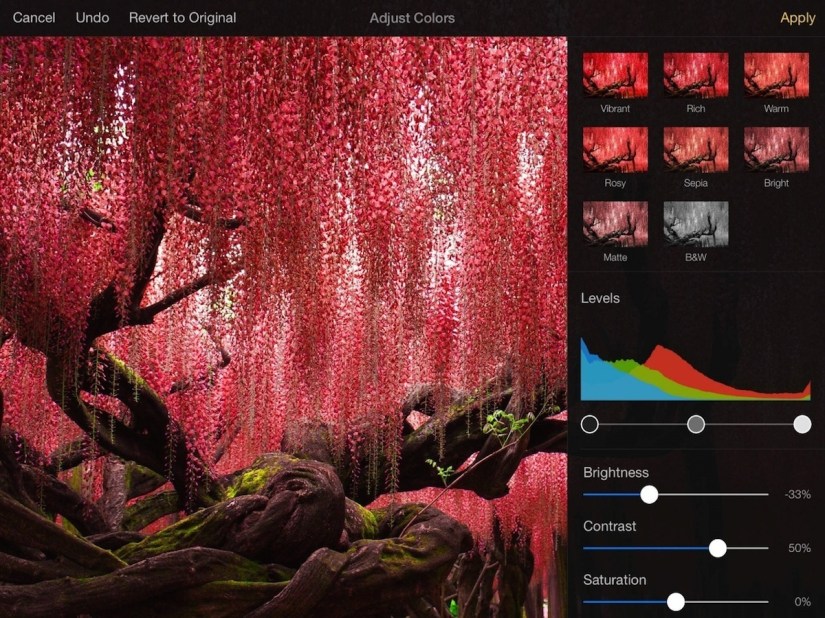 App of the Week: Pixelmator for iPad review