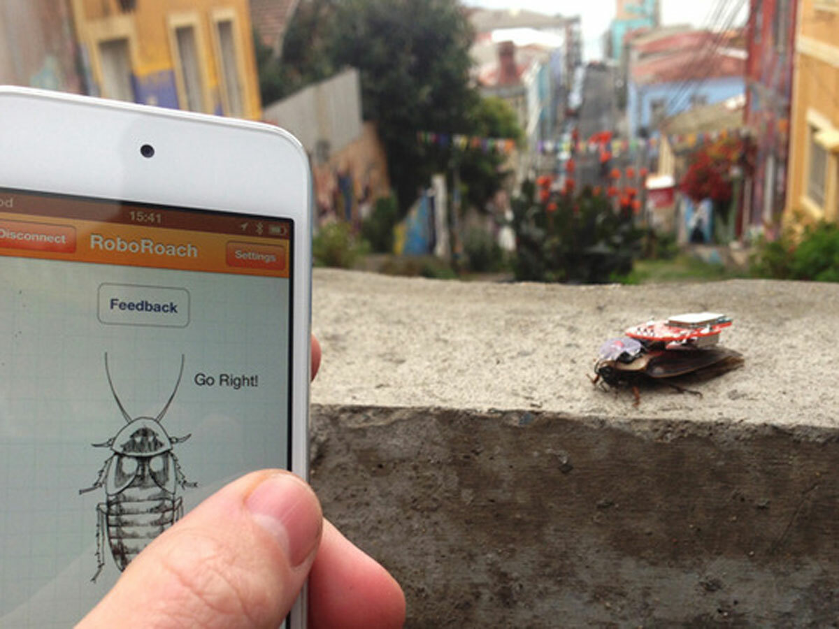 Fund this project that’ll let you control a cyber-cockroach