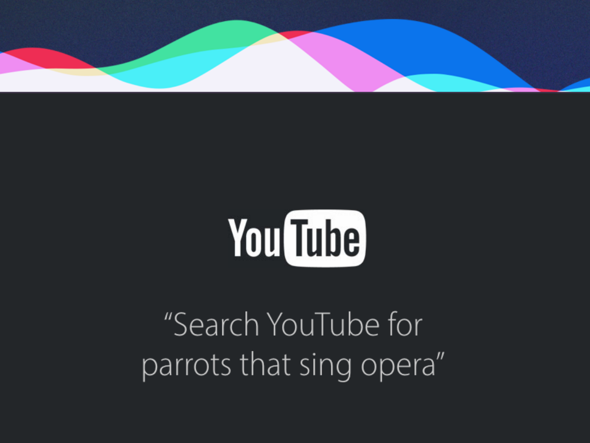 Siri Tube