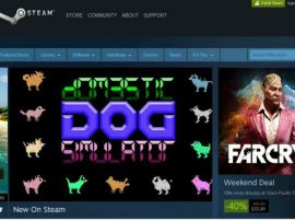 Valve sued by French group over right to resell Steam games