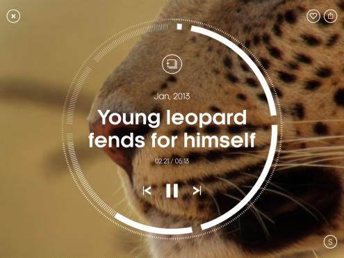 App of the week: Attenborough’s Story of Life review