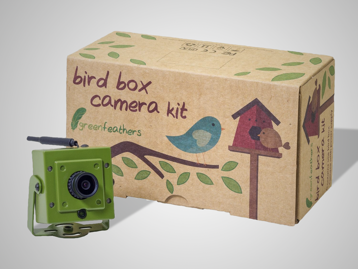 WiFi Bird Box Camera (£99)