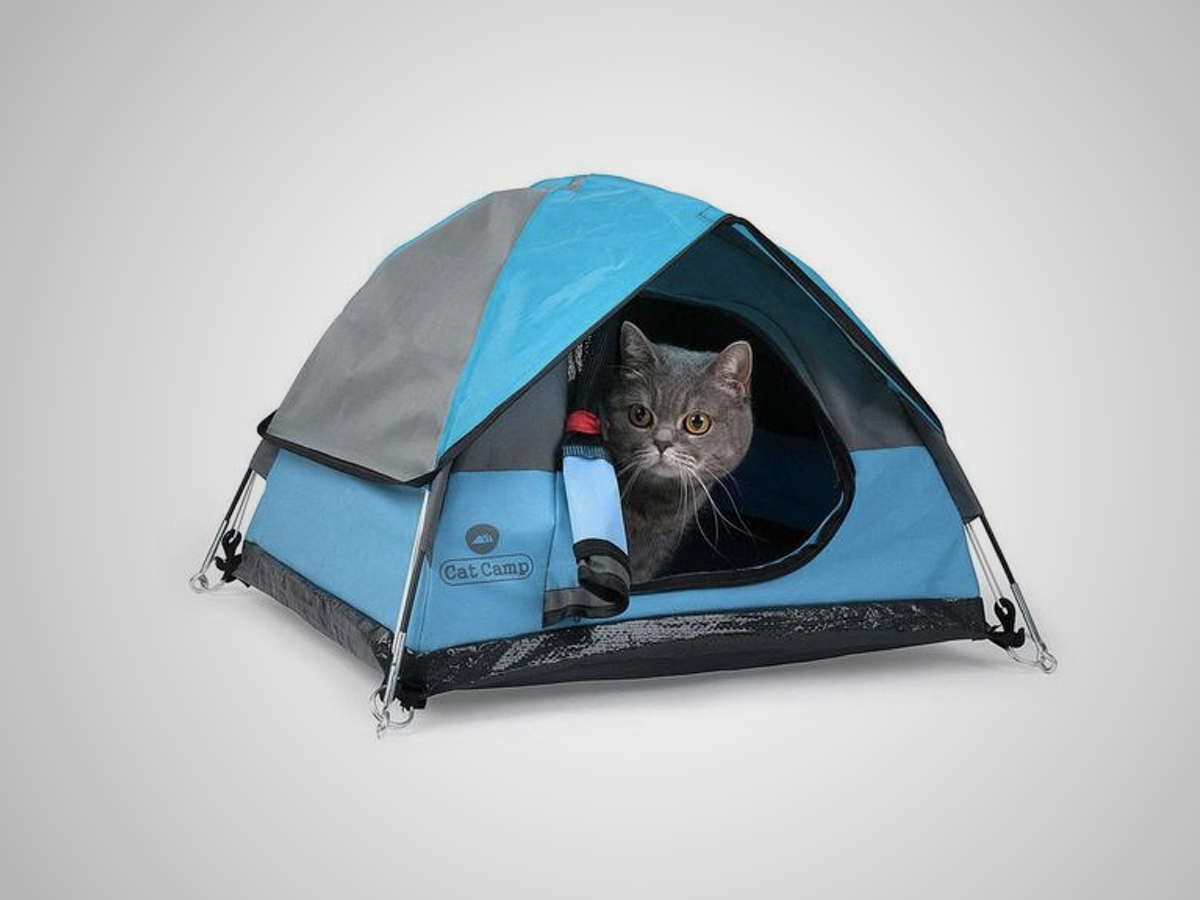 Cat Camp Tent (£60)
