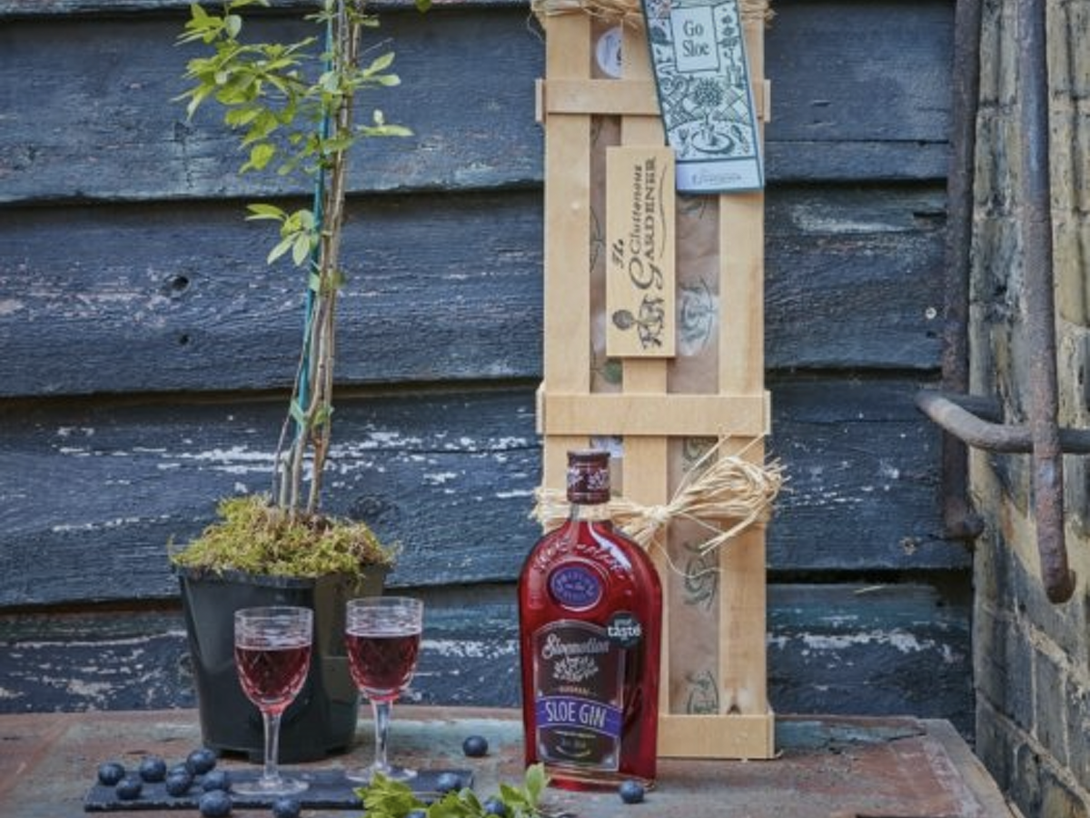 Go Sloe Gift Crate (£60)