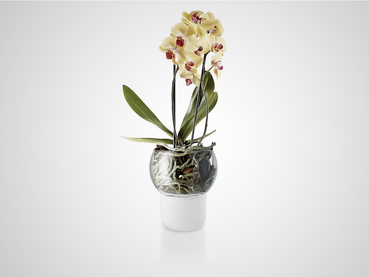 Eva Solo Self-Watering Orchid Pot (€45)
