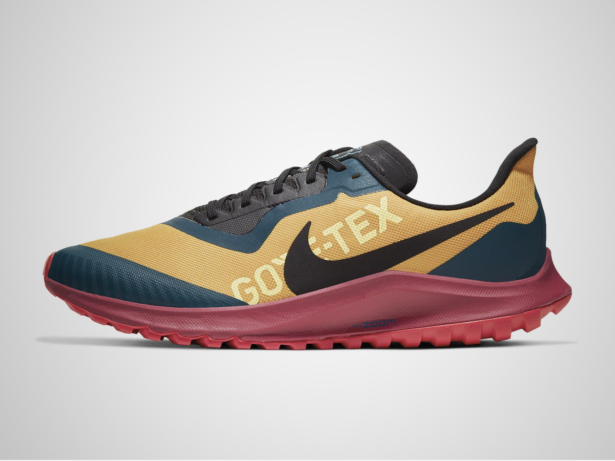 Nike Air Zoom Pegasus 36 Trail GORE-TEX (£130)