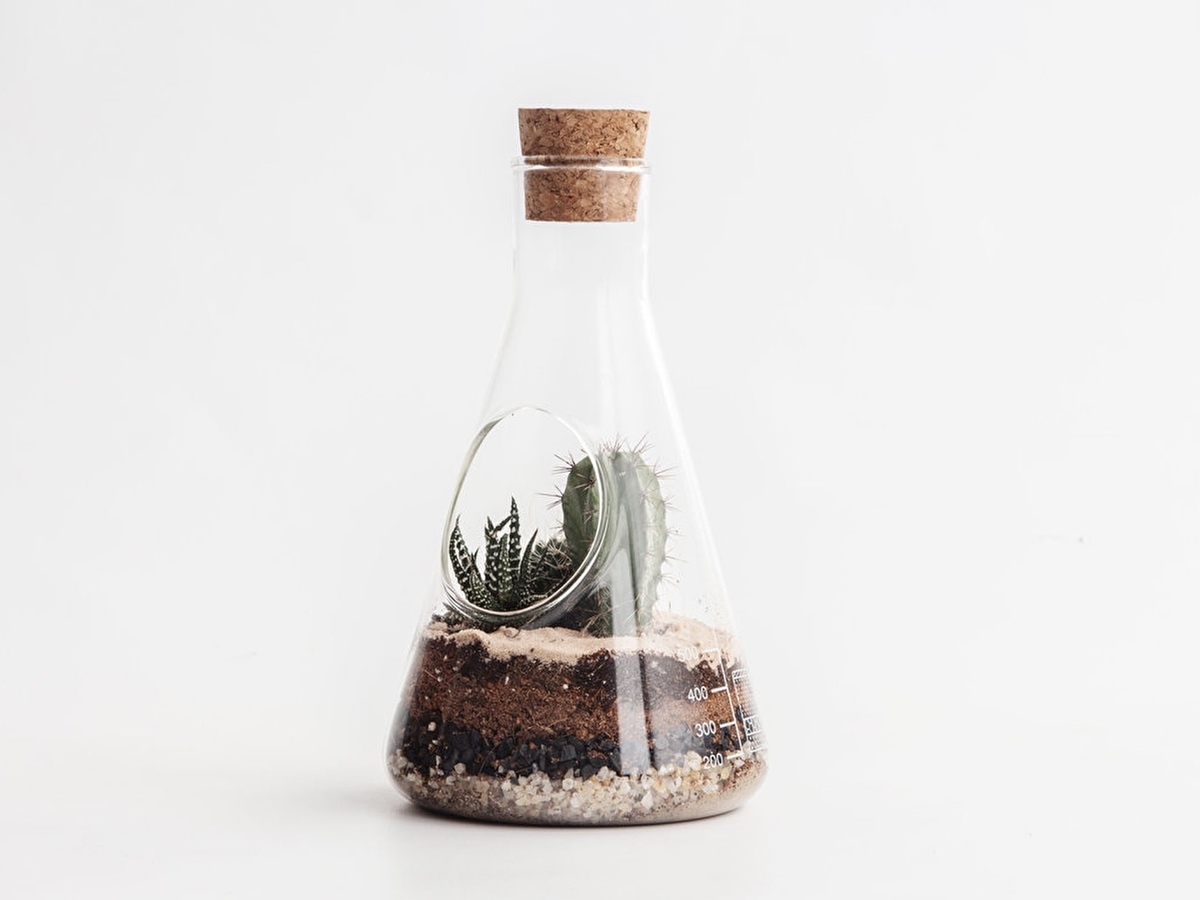 Chemistry Glass Terrarium Kit (£30)