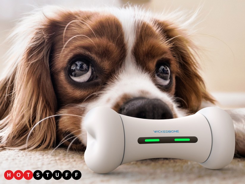 Wickedbone is a smart bone on wheels for entertaining man’s best friend